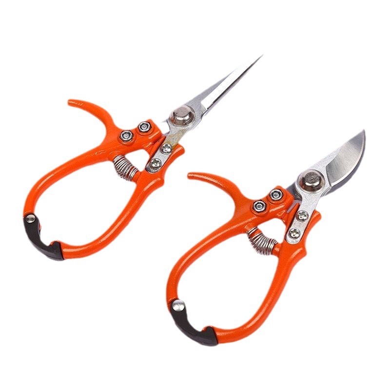 grape picking scissors